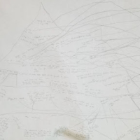 Systems Thinking: A Critical Tool for Education and&nbsp;Sustainability